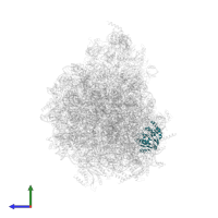 Eukaryotic translation initiation factor 6 in PDB entry 6ft6, assembly 1, side view.