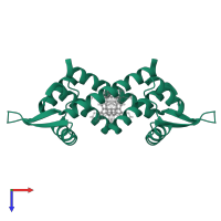 Transcription regulator PadR N-terminal domain-containing protein in PDB entry 6fuu, assembly 1, top view.