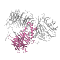 The deposited structure of PDB entry 6fuw contains 1 copy of Pfam domain PF03178 (CPSF A subunit region) in Cleavage and polyadenylation specificity factor subunit 1. Showing 1 copy in chain A.