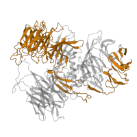 The deposited structure of PDB entry 6fuw contains 1 copy of Pfam domain PF10433 (Mono-functional DNA-alkylating methyl methanesulfonate N-term) in Cleavage and polyadenylation specificity factor subunit 1. Showing 1 copy in chain A.