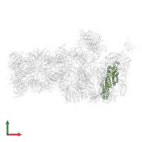 26S proteasome regulatory subunit RPN3 in PDB entry 6fvv, assembly 1, front view.