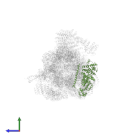 26S proteasome regulatory subunit RPN3 in PDB entry 6fvv, assembly 1, side view.