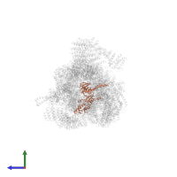 26S proteasome regulatory subunit 6B homolog in PDB entry 6fvv, assembly 1, side view.