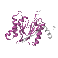 The deposited structure of PDB entry 6fvw contains 2 copies of Pfam domain PF00227 (Proteasome subunit) in Proteasome subunit beta type-5. Showing 1 copy in chain L [auth l].