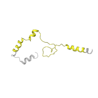 The deposited structure of PDB entry 6fvw contains 1 copy of Pfam domain PF05160 (DSS1/SEM1 family) in 26S proteasome complex subunit SEM1. Showing 1 copy in chain GA [auth Y].