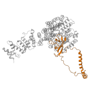 The deposited structure of PDB entry 6fvw contains 1 copy of Pfam domain PF18004 (26S proteasome regulatory subunit RPN2 C-terminal domain) in 26S proteasome regulatory subunit RPN2. Showing 1 copy in chain IA [auth N].