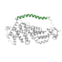 The deposited structure of PDB entry 6fvw contains 1 copy of Pfam domain PF08375 (Proteasome regulatory subunit C-terminal) in 26S proteasome regulatory subunit RPN3. Showing 1 copy in chain JA [auth S].