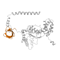 The deposited structure of PDB entry 6fvw contains 1 copy of Pfam domain PF16450 (Proteasomal ATPase OB C-terminal domain) in 26S proteasome regulatory subunit 4 homolog. Showing 1 copy in chain QA [auth I].