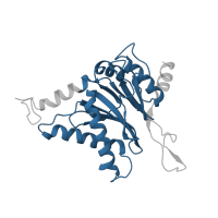 The deposited structure of PDB entry 6fvw contains 2 copies of Pfam domain PF00227 (Proteasome subunit) in Proteasome subunit alpha type-2. Showing 1 copy in chain B [auth b].