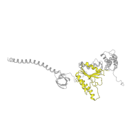 The deposited structure of PDB entry 6fvw contains 1 copy of Pfam domain PF00004 (ATPase family associated with various cellular activities (AAA)) in 26S proteasome regulatory subunit 6B homolog. Showing 1 copy in chain RA [auth K].