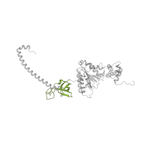 The deposited structure of PDB entry 6fvw contains 1 copy of Pfam domain PF16450 (Proteasomal ATPase OB C-terminal domain) in 26S proteasome regulatory subunit 6A. Showing 1 copy in chain TA [auth M].