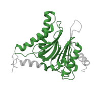 The deposited structure of PDB entry 6fvw contains 2 copies of Pfam domain PF00227 (Proteasome subunit) in Proteasome subunit alpha type-3. Showing 1 copy in chain Q [auth C].