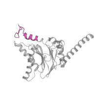 The deposited structure of PDB entry 6fvw contains 2 copies of Pfam domain PF10584 (Proteasome subunit A N-terminal signature) in Proteasome subunit alpha type-4. Showing 1 copy in chain D [auth d].