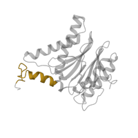 The deposited structure of PDB entry 6fvw contains 2 copies of Pfam domain PF10584 (Proteasome subunit A N-terminal signature) in Proteasome subunit alpha type-6. Showing 1 copy in chain F [auth f].