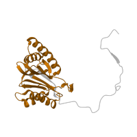 The deposited structure of PDB entry 6fvw contains 2 copies of Pfam domain PF00227 (Proteasome subunit) in Proteasome subunit beta type-2. Showing 1 copy in chain W [auth 2].