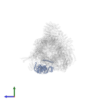 26S proteasome regulatory subunit RPN5 in PDB entry 6fvw, assembly 1, side view.