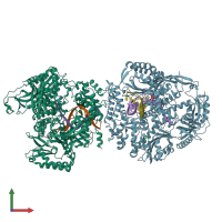 PDB entry 6fwk coloured by chain, front view.