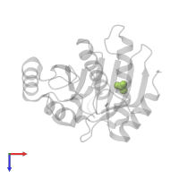 ACETATE ION in PDB entry 6fy5, assembly 1, top view.