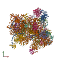 PDB entry 6fyy coloured by chain, front view.