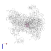 40S ribosomal protein S12 in PDB entry 6fyy, assembly 1, top view.