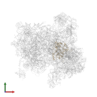 Eukaryotic translation initiation factor 2 subunit gamma in PDB entry 6fyy, assembly 1, front view.