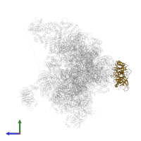 Eukaryotic translation initiation factor 2 subunit gamma in PDB entry 6fyy, assembly 1, side view.