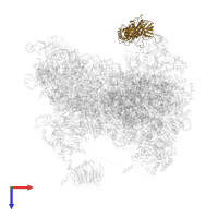 Eukaryotic translation initiation factor 2 subunit gamma in PDB entry 6fyy, assembly 1, top view.