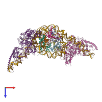 PDB entry 6g0l coloured by chain, top view.