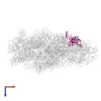 Small ribosomal subunit protein eS4, X isoform in PDB entry 6g18, assembly 1, top view.
