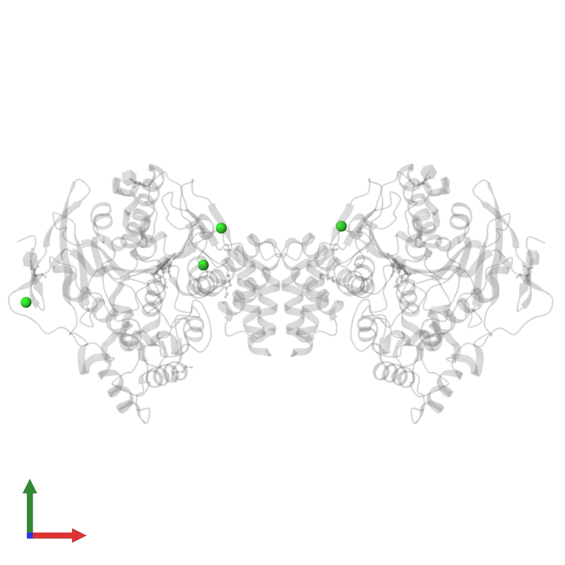 <div class='caption-body'>PDB entry 6g1v contains 8 copies of CHLORIDE ION in assembly 1. This small molecule is highlighted and viewed from the front.</div>