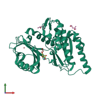Monomeric assembly 1 of PDB entry 6g35 coloured by chemically distinct molecules, front view.