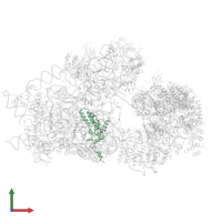 Small ribosomal subunit protein uS4 in PDB entry 6g4w, assembly 1, front view.