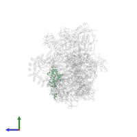 Small ribosomal subunit protein uS4 in PDB entry 6g4w, assembly 1, side view.