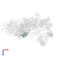 Small ribosomal subunit protein uS4 in PDB entry 6g4w, assembly 1, top view.