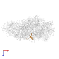 Small ribosomal subunit protein eS21 in PDB entry 6g51, assembly 1, top view.