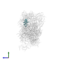 Small ribosomal subunit protein uS8 in PDB entry 6g51, assembly 1, side view.