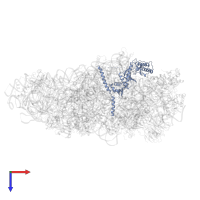 Serine/threonine-protein kinase RIO2 in PDB entry 6g51, assembly 1, top view.