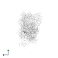 Small ribosomal subunit protein uS14 in PDB entry 6g51, assembly 1, side view.