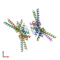 PDB entry 6g6l coloured by chain, front view.
