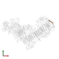 NADH dehydrogenase [ubiquinone] 1 beta subcomplex subunit 2, mitochondrial in PDB entry 6g72, assembly 1, front view.