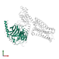 Guanine nucleotide-binding protein G(I)/G(S)/G(T) subunit beta-1 in PDB entry 6g79, assembly 1, front view.