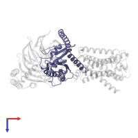 Guanine nucleotide-binding protein G(o) subunit alpha in PDB entry 6g79, assembly 1, top view.