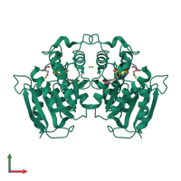 Homo dimeric assembly 1 of PDB entry 6g7d coloured by chemically distinct molecules, front view.