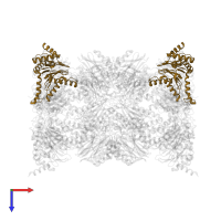 Proteasome subunit alpha type-1 in PDB entry 6g7f, assembly 1, top view.