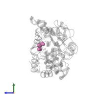 D-GLUTAMIC ACID in PDB entry 6g7n, assembly 1, side view.