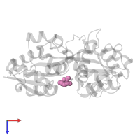 D-GLUTAMIC ACID in PDB entry 6g7n, assembly 1, top view.