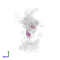 Protein HSH49 in PDB entry 6g90, assembly 1, side view.