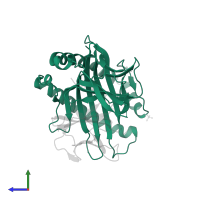 H-2 class I histocompatibility antigen, D-B alpha chain in PDB entry 6gb5, assembly 1, side view.