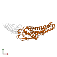 SabA N-terminal extracellular adhesion domain-containing protein in PDB entry 6gbg, assembly 1, front view.