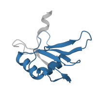 The deposited structure of PDB entry 6gbm contains 1 copy of Pfam domain PF00076 (RNA recognition motif. (a.k.a. RRM, RBD, or RNP domain)) in RNA-binding protein FUS. Showing 1 copy in chain A [auth B].